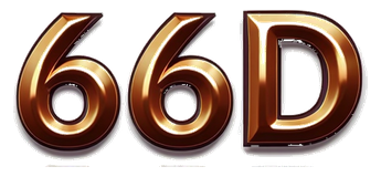66d logo